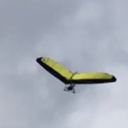 Bestandsnaam=Jan_Ketting_20220504_1030.mp4
Bestandsgrootte=178174KiB
Afmetingen = 0x0
Datum toegevoegd = %07 %169 %2022 Jan_Ketting_20220504_1030.mp4