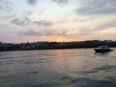 20230708_2107b_Guernsey
