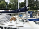 20230704_1602_La_Roche_Bernard.jpg