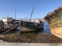 Bestandsnaam=20230707_0906a_Camaret_sur_Mer.jpg
Bestandsgrootte=2350KiB
Afmetingen = 2048x1536
Datum toegevoegd = %28 %751 %2023 20230707_0906a_Camaret_sur_Mer.jpg