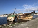 Bestandsnaam=20230707_0907_Camaret_sur_Mer.jpg
Bestandsgrootte=2349KiB
Afmetingen = 2048x1536
Datum toegevoegd = %28 %751 %2023 20230707_0907_Camaret_sur_Mer.jpg