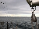 Bestandsnaam=20230709_0802_Guernsey.jpg
Bestandsgrootte=1675KiB
Afmetingen = 2048x1536
Datum toegevoegd = %28 %751 %2023 20230709_0802_Guernsey.jpg