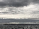 20230711_0854_Kelvin_Helmholtz_Le_Portel.jpg