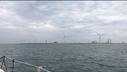 20230714_1803_Rotterdam.jpg