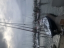 20230715_1824_Lelystad.jpg