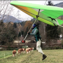 Bestandsnaam=Jurre_Botman_20251027_1103.mp4
Bestandsgrootte=18751KiB
Afmetingen = 0x0
Datum toegevoegd = %18 %136 %2025 Jurre_Botman_20251027_1103.mp4