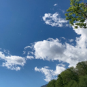 Wind_van_achteren_20260430_1520.mp4