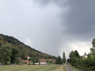 Virga_024_Fellering_(F)
